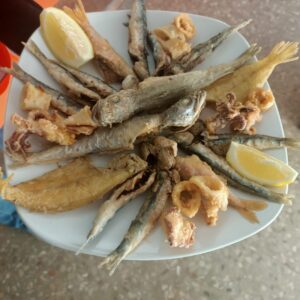 tapa2